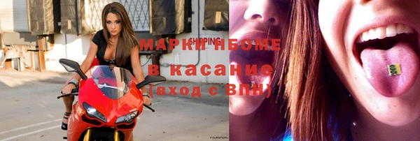 стаф Нефтегорск