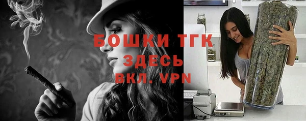 Альфа ПВП Нея