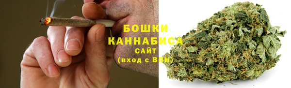 стаф Нефтегорск