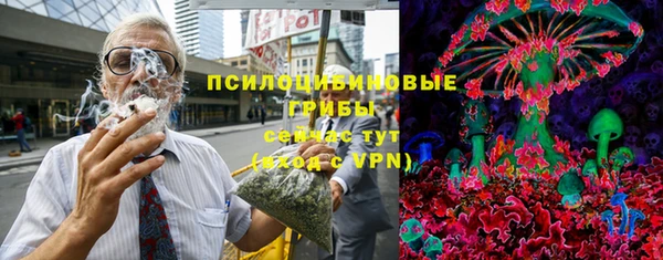 a pvp Новозыбков