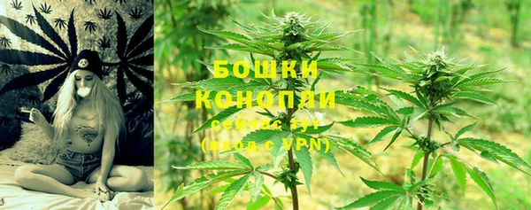 стаф Нефтегорск