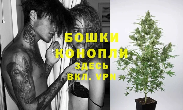 a pvp Новозыбков