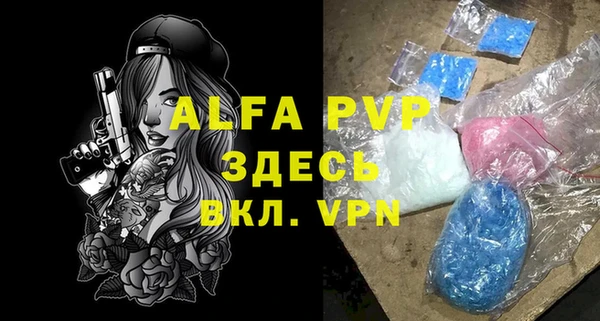 стаф Нефтекумск