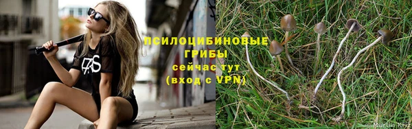 стаф Нефтекумск
