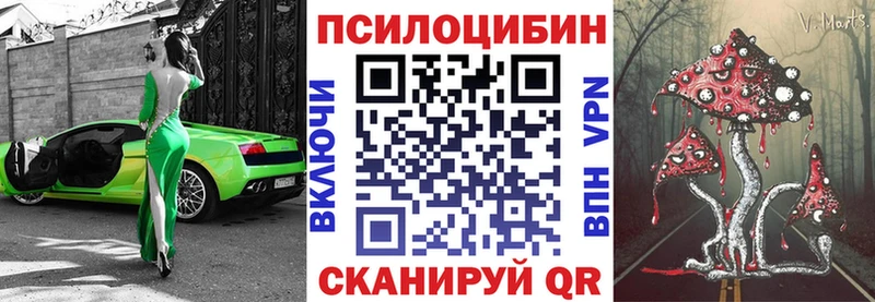 Псилоцибиновые грибы Psilocybine cubensis  Боровск 